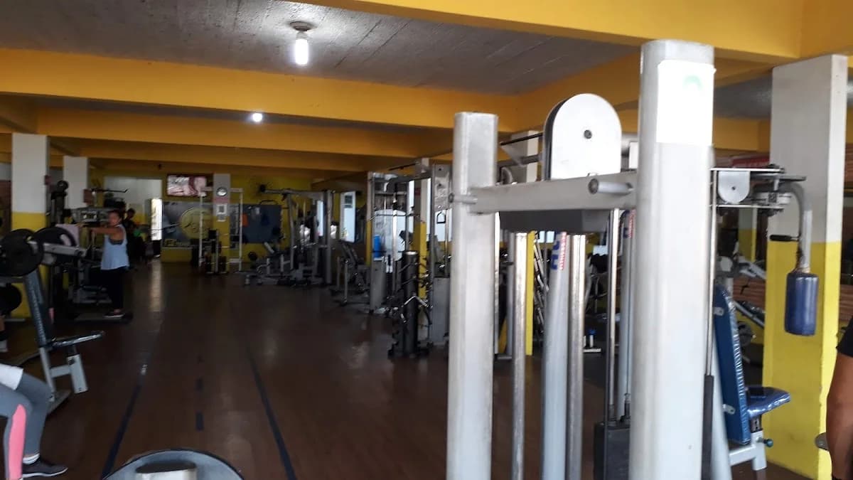 Academia Stetic Fitness
