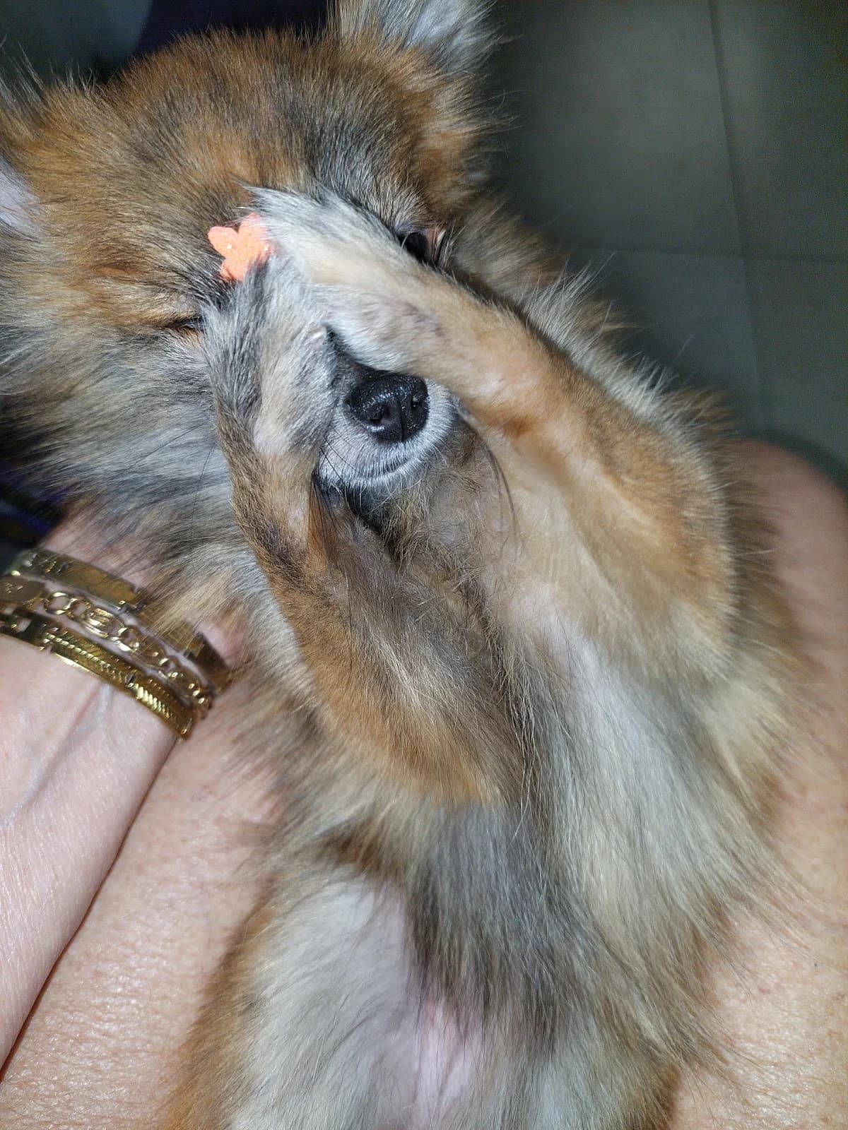 Studio Pilates Tijuca - Rio de Janeiro