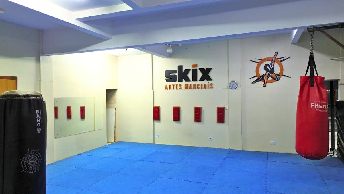 Skix - Artes Marciais