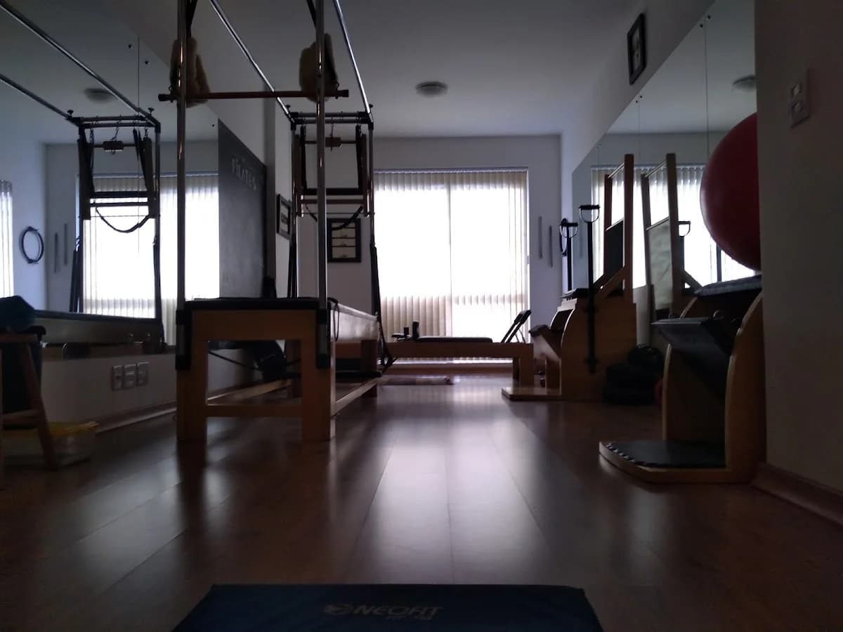 Fábio Mendonça Pilates Studio/Authentic Method