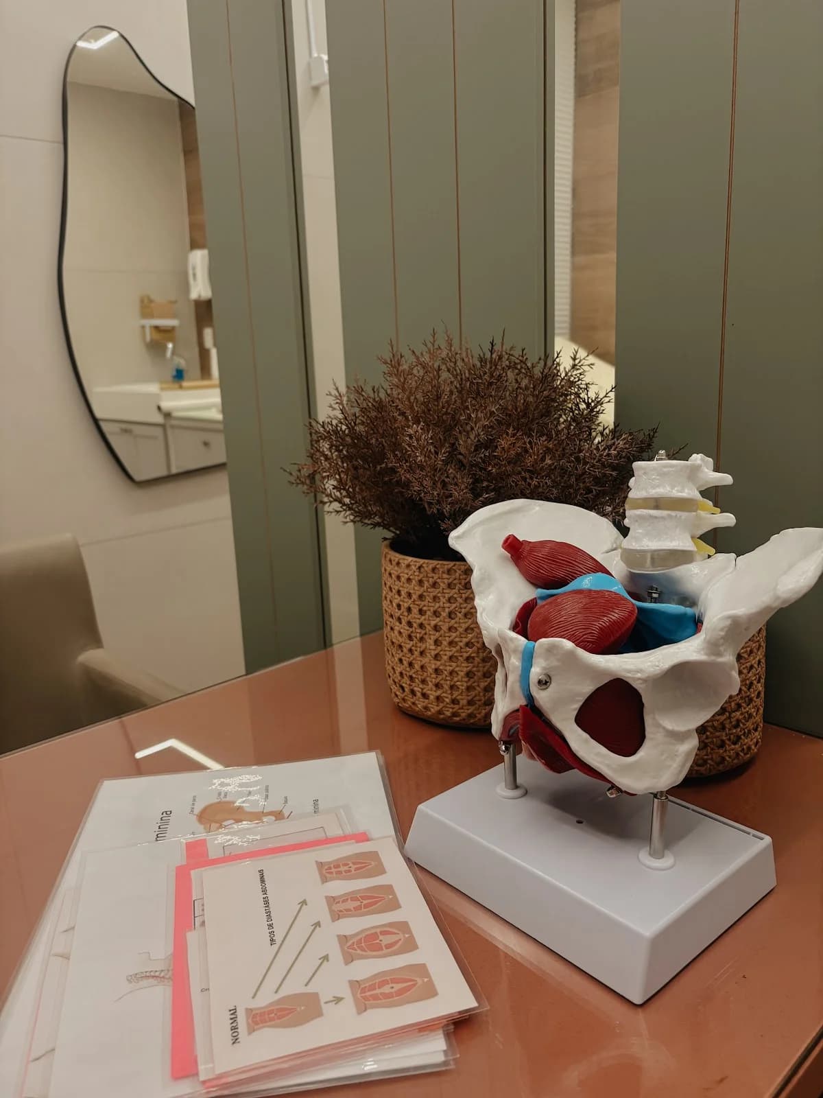 Fisioterapia Pélvica em Teresina | Dra. Tâmara Rodrigues