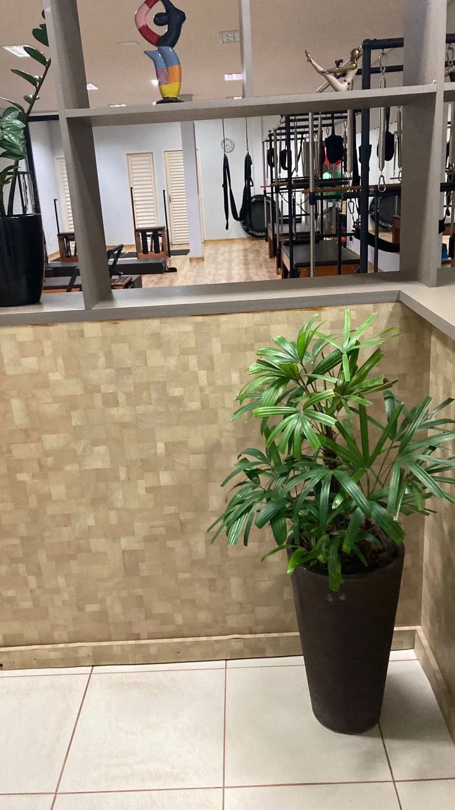 Pilates Concept Carlos Borges