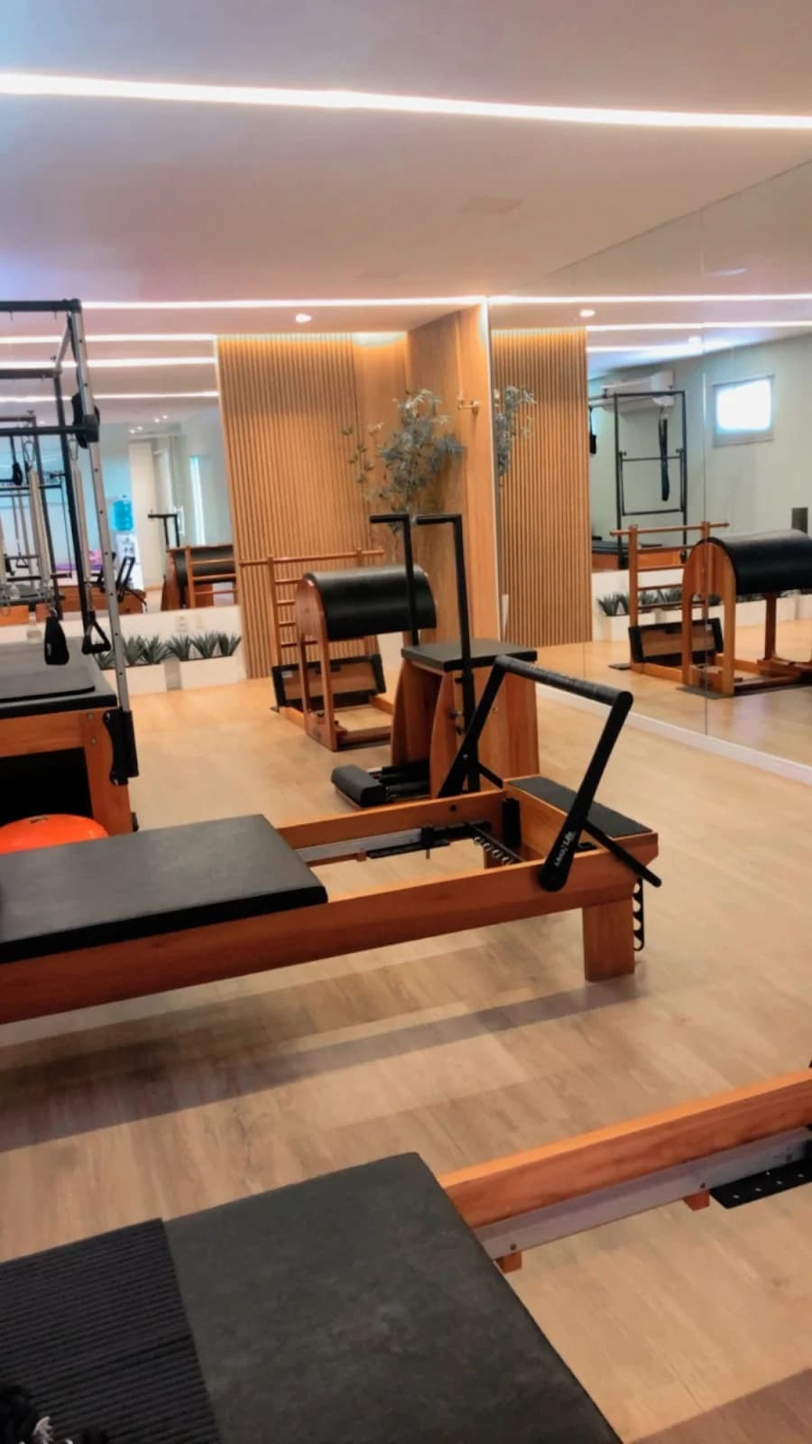 Daínna Cavalcante - PILATES | RPG | FISIOTERAPIA