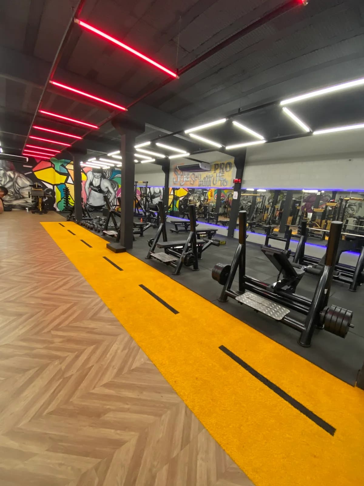 Academia Evohard Fitness - Musculação - Melhor Academia da zona norte