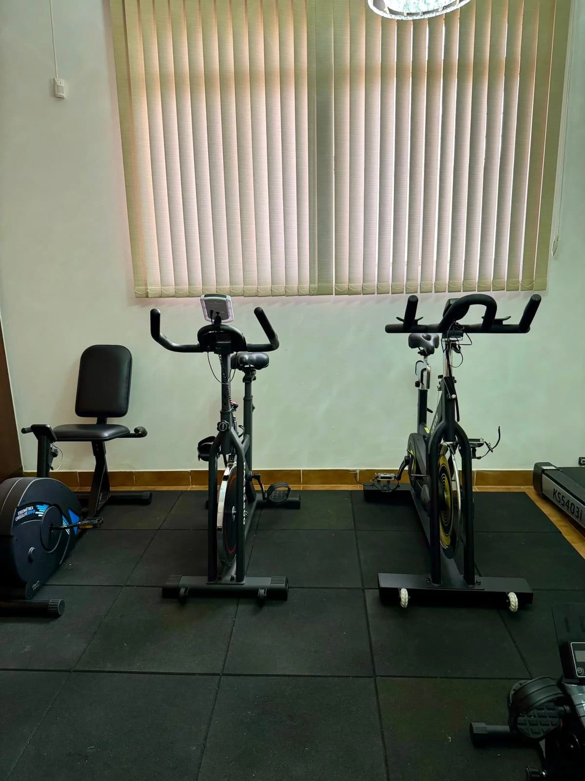 Equilíbrio e Vivence