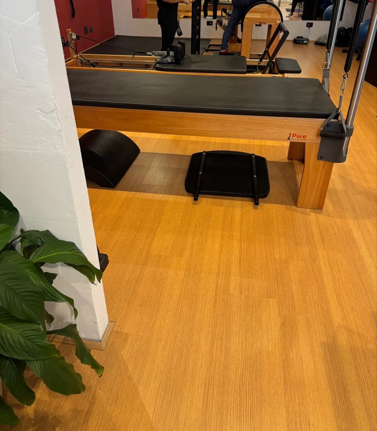 Pure Pilates - Curitiba - Seminário