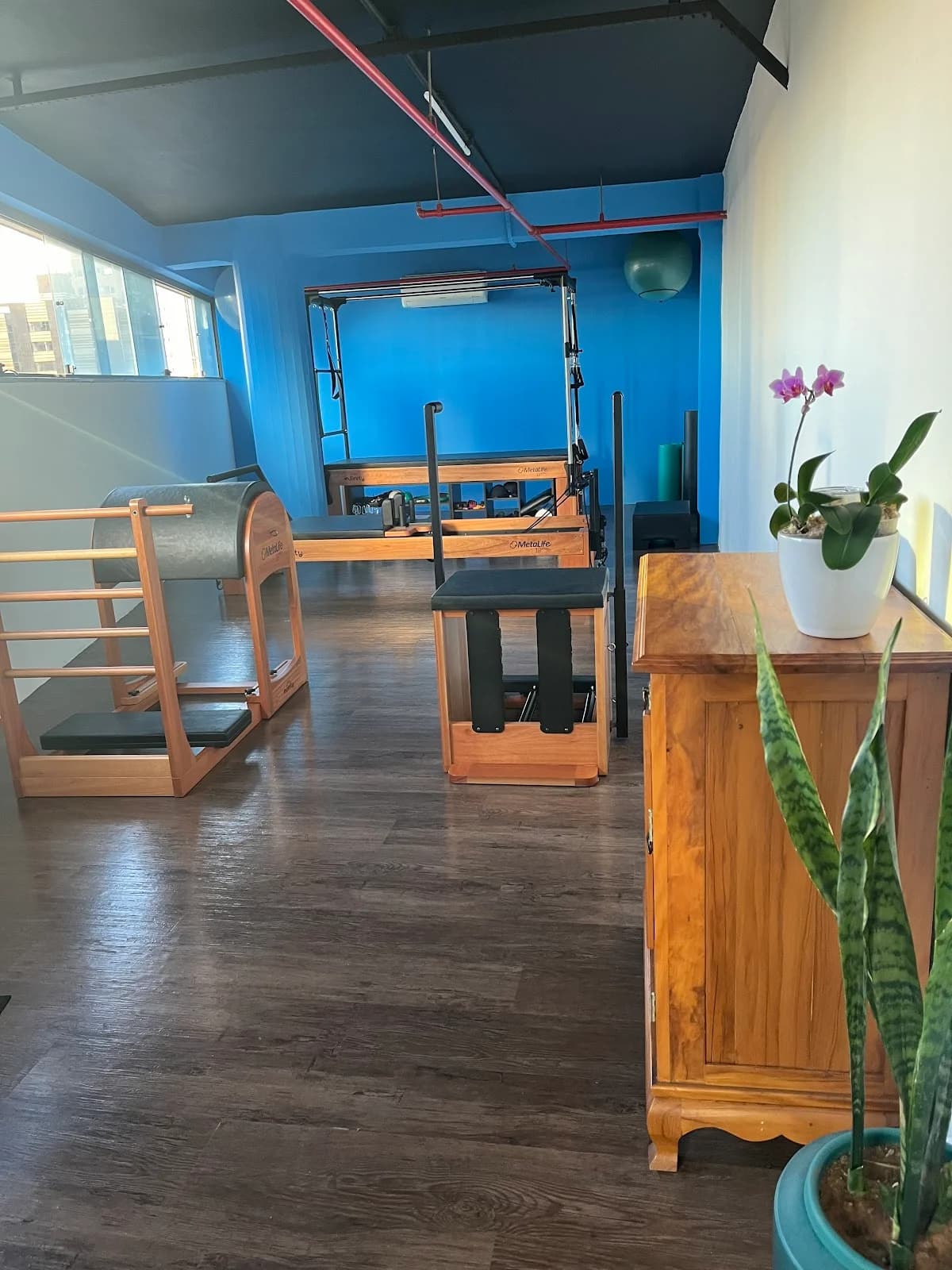 Fluye Pilates e fisioterapia