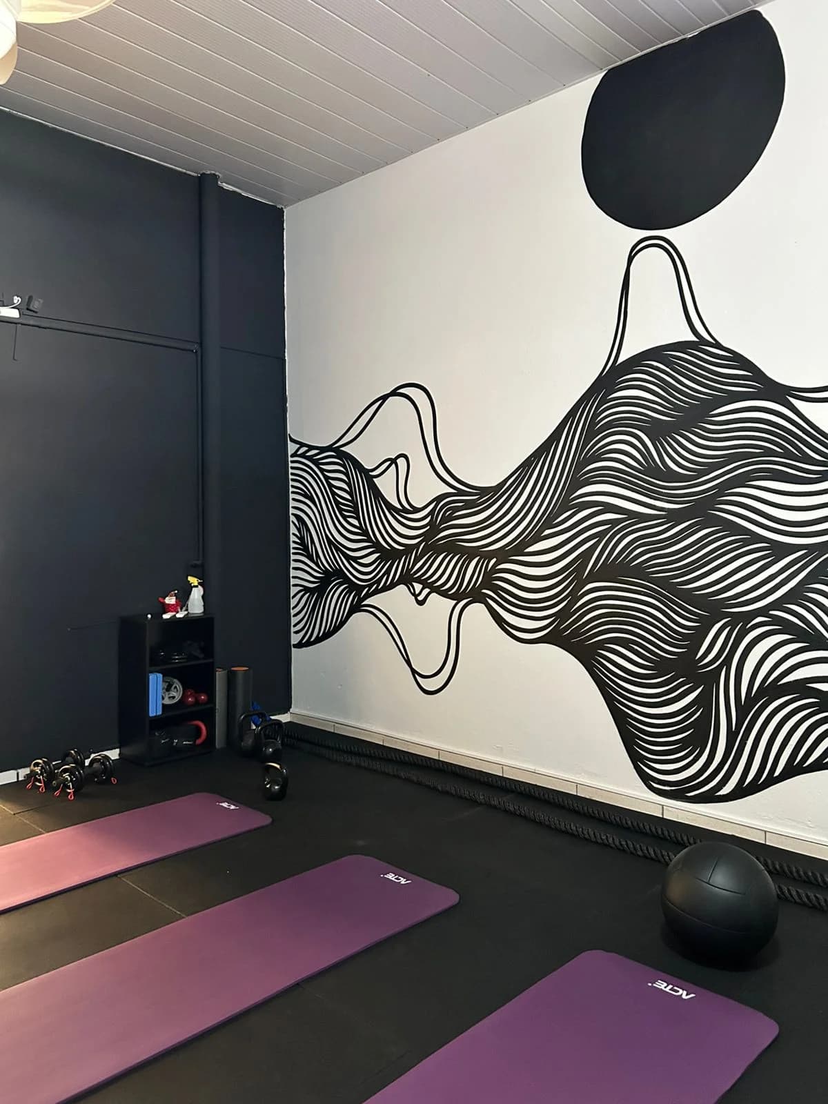 Lêu Estúdio | Pilates • Funcional • Personal