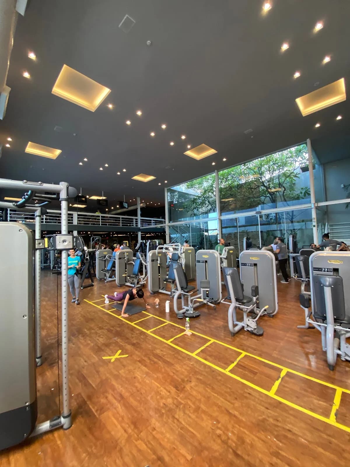 Top Fitness & Wellness