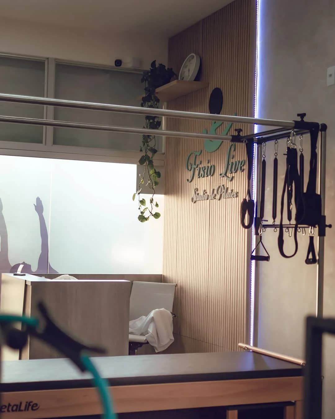 FisioLive - Pilates e Fisioterapia