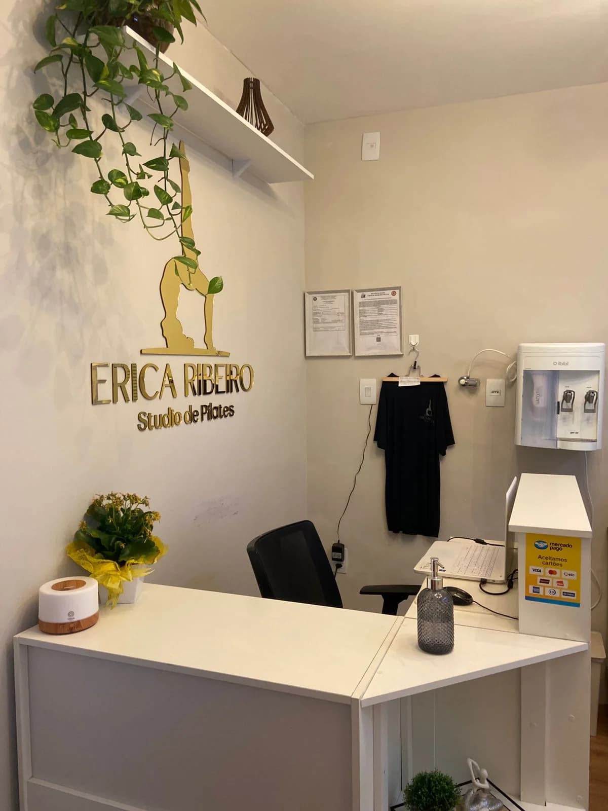 Erica Ribeiro Studio de Pilates