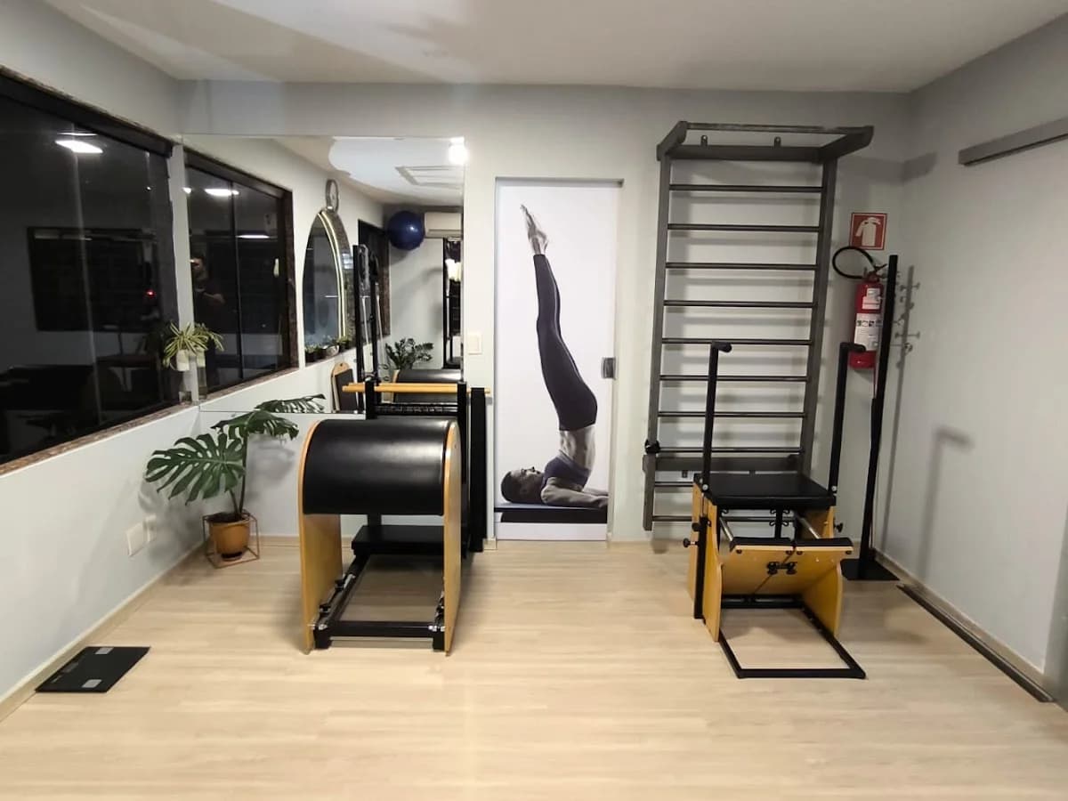 Pilates Art do Movimento