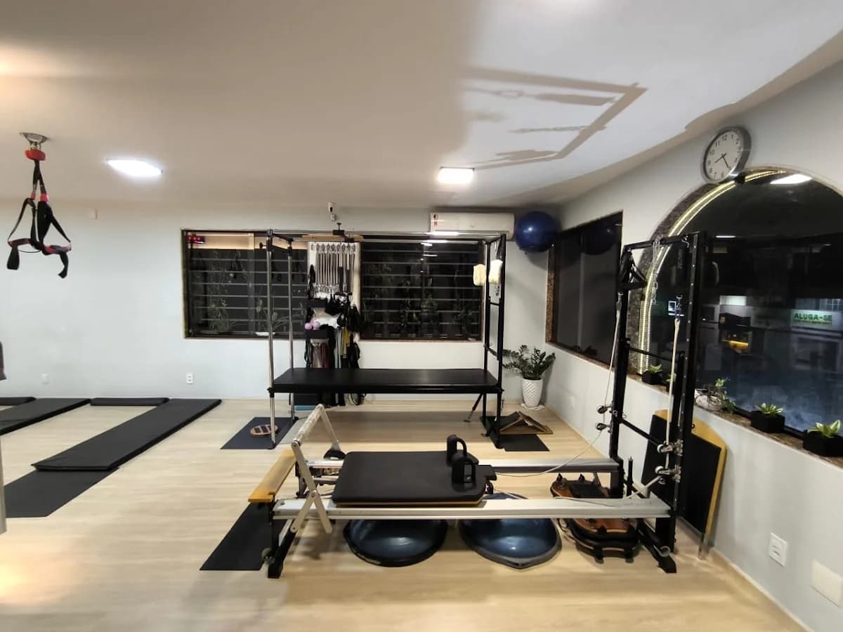 Pilates Art do Movimento