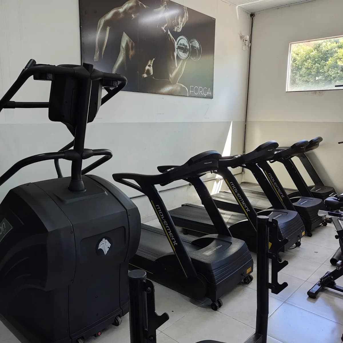 TOP FIT - Studio Academia – foto 3