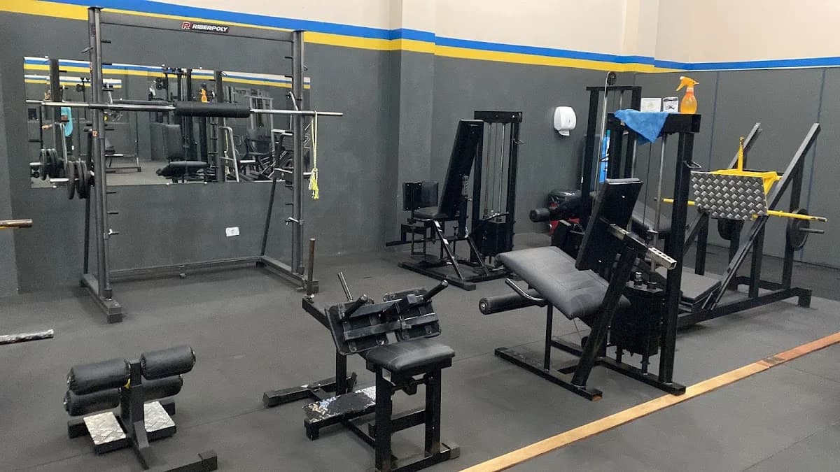 GoFit CROSS (UNIDADE 3) – foto 2
