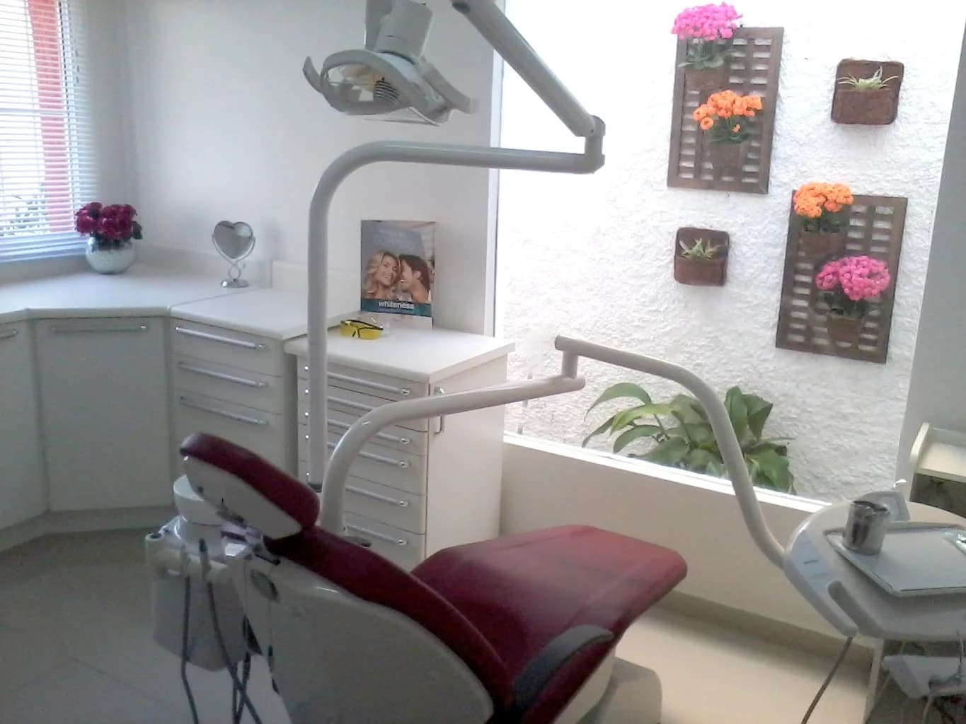DRA.EMILIA CRISTINA/ PROFESSORA ESPECIALISTA EM HARMONIZAÇÃO FACIAL E ODONTOLOGIA SÃO PAULO – foto 3