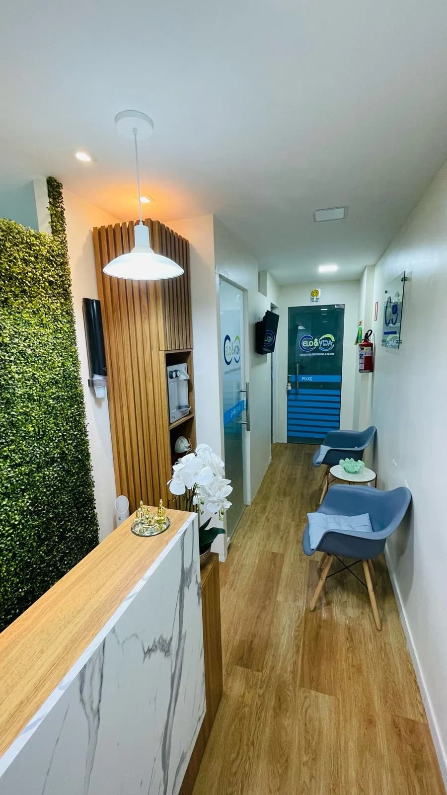 Estudio Elo E Vida – foto 3
