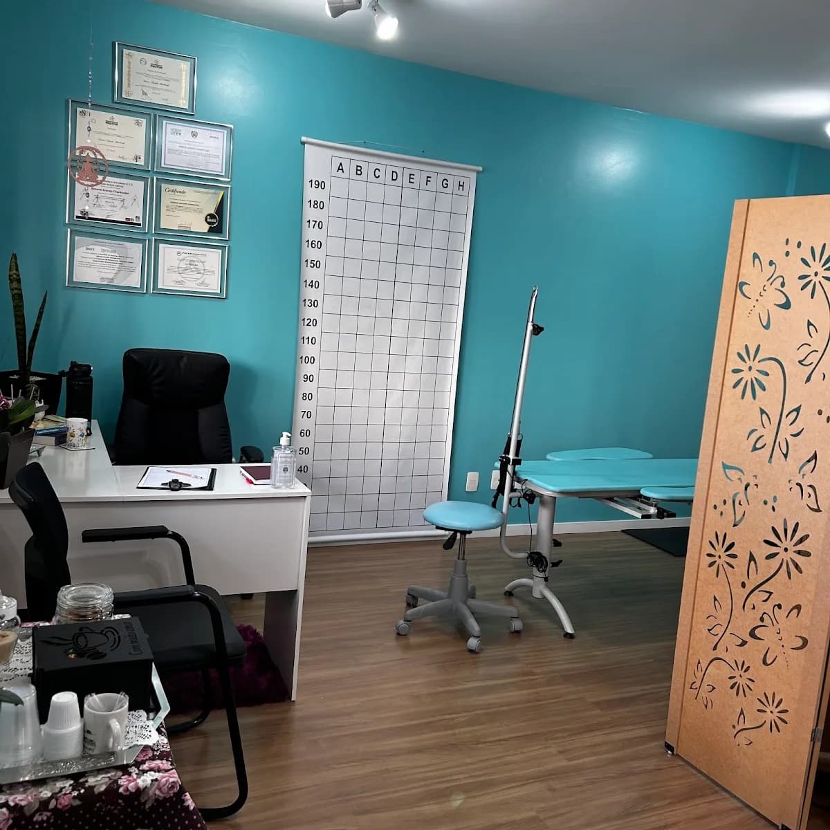 Pilates, RPG e Fisioterapia - Dra. Simone Arando – foto 1