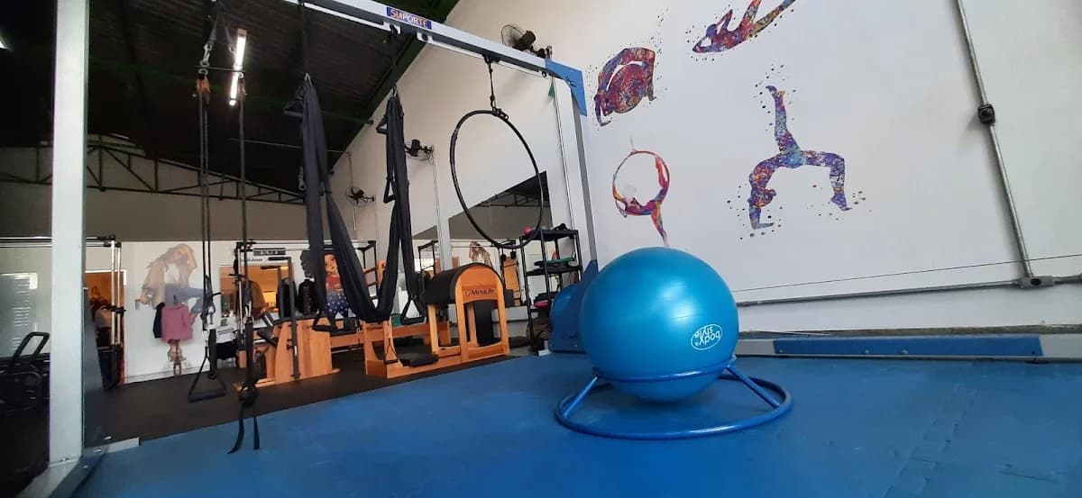 Maximo Pilates e Fisioterapia Campinas – foto 2