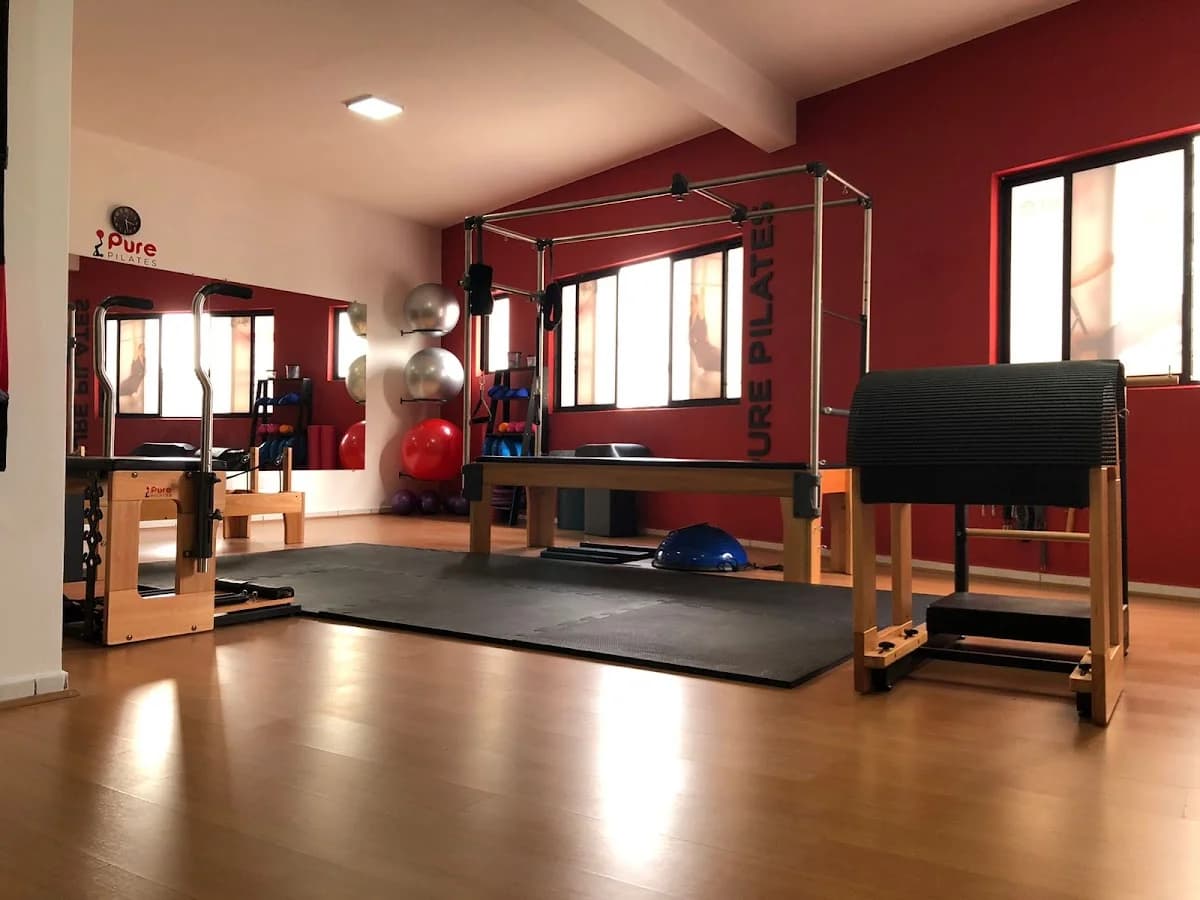 Pure Pilates - Cachoeirinha - Santana Parque – foto 1