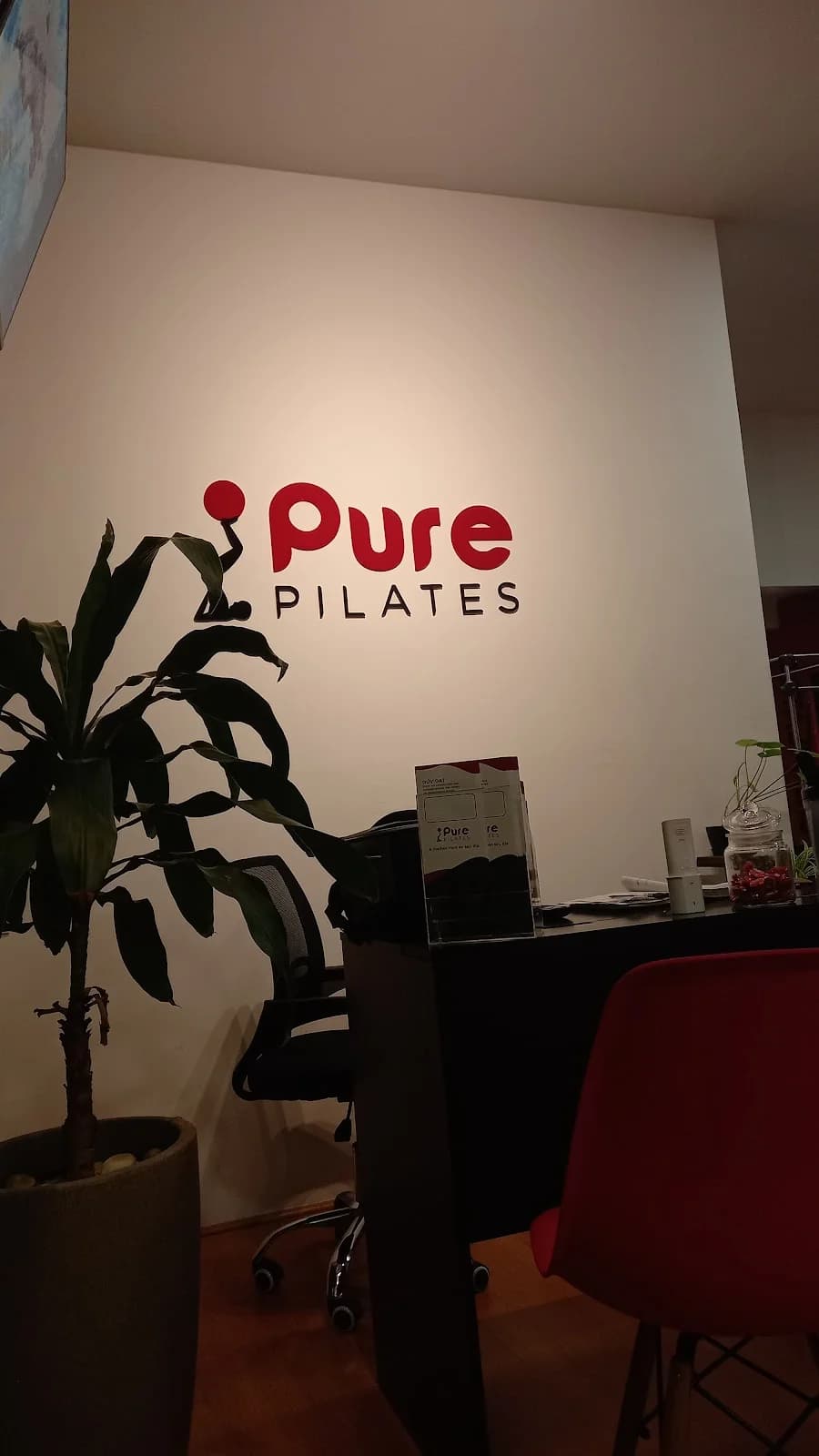 Pure Pilates - Cachoeirinha - Santana Parque – foto 3