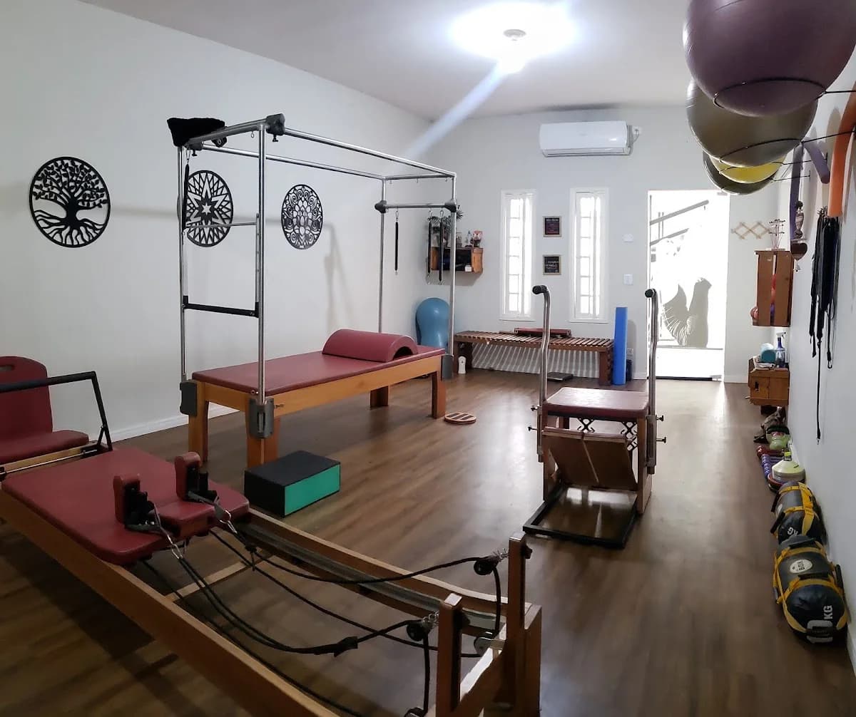 Studio Aline Vilhena_ Pilates em Barão Geraldo – foto 1