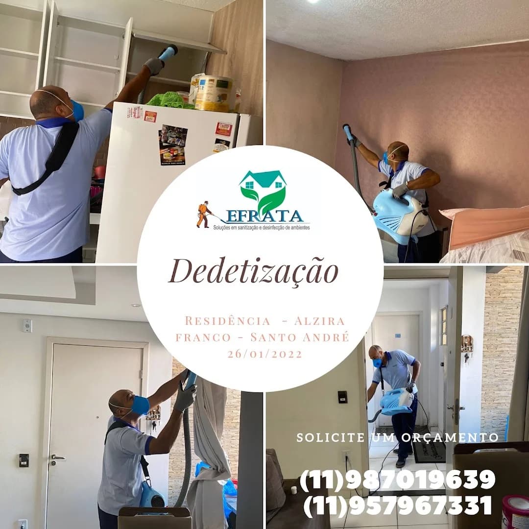 Dedetizadora EFRATA – foto 3