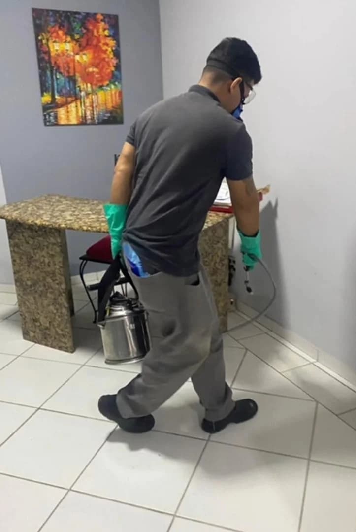 Maximize Dedetizadora