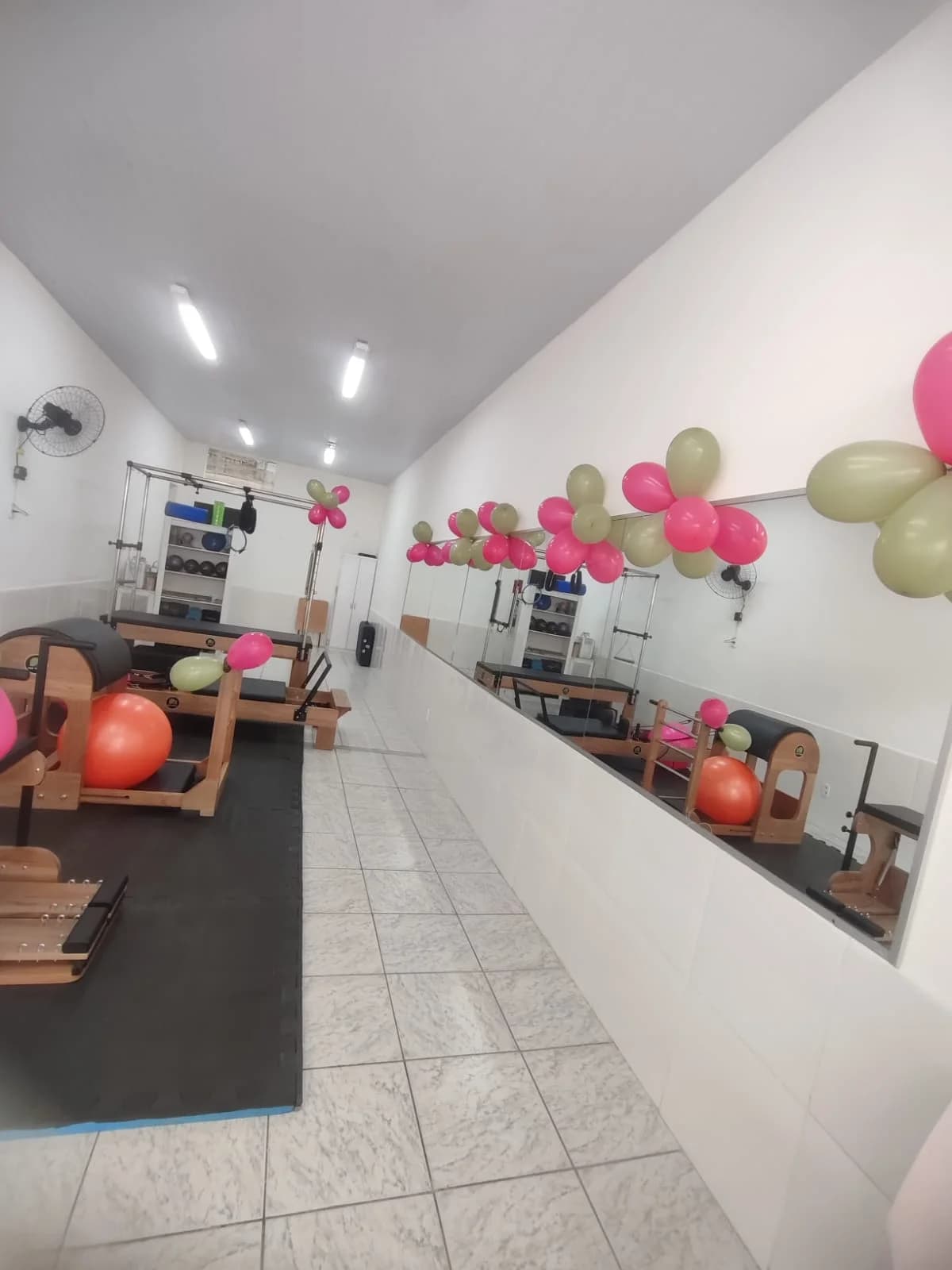 Viviane Ferreira Pilates e Fisioterapia – foto 3