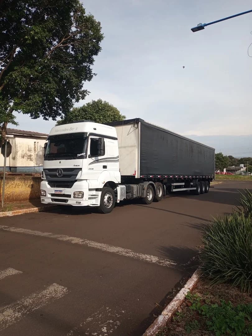 Auto Eletrica Buiu – foto 3