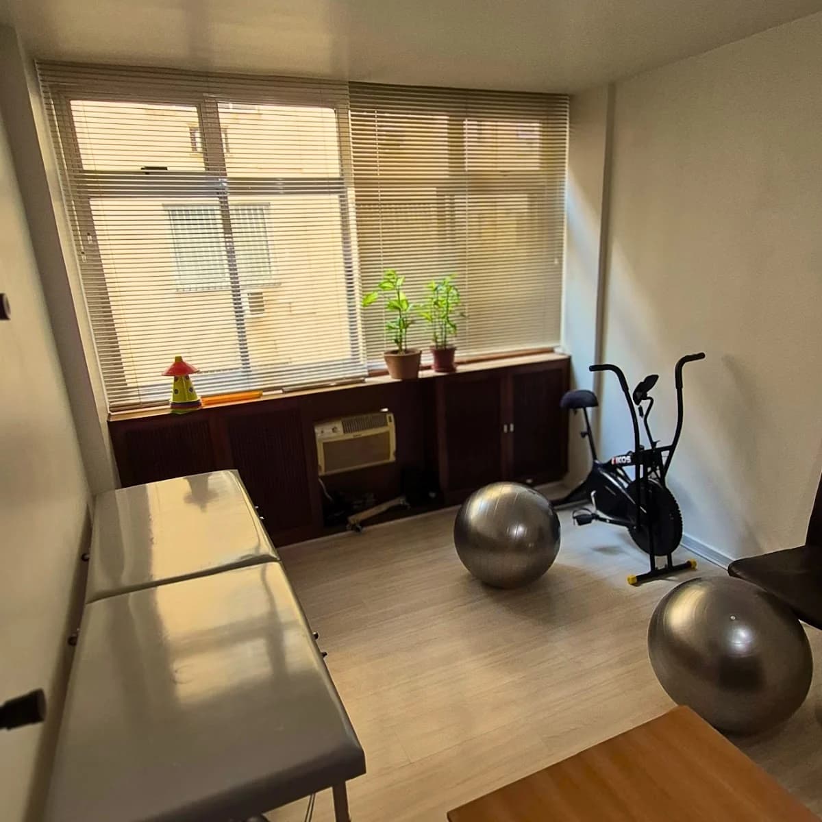 Flow Clínica - Fisioterapia e Pilates em Copacabana. – foto 3