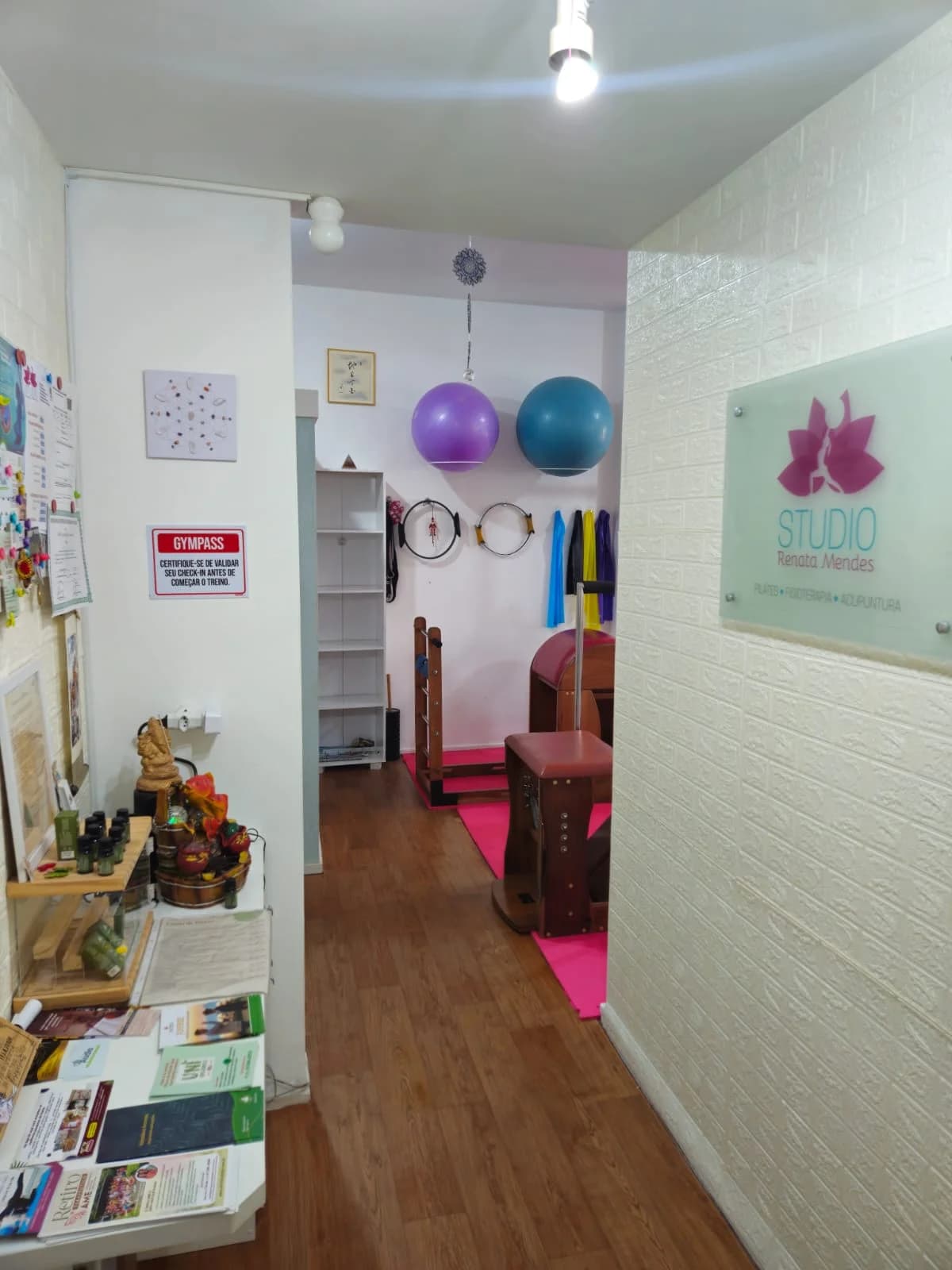 Studio Renata Mendes Pilates e Acupuntura (English Spoken) – foto 1