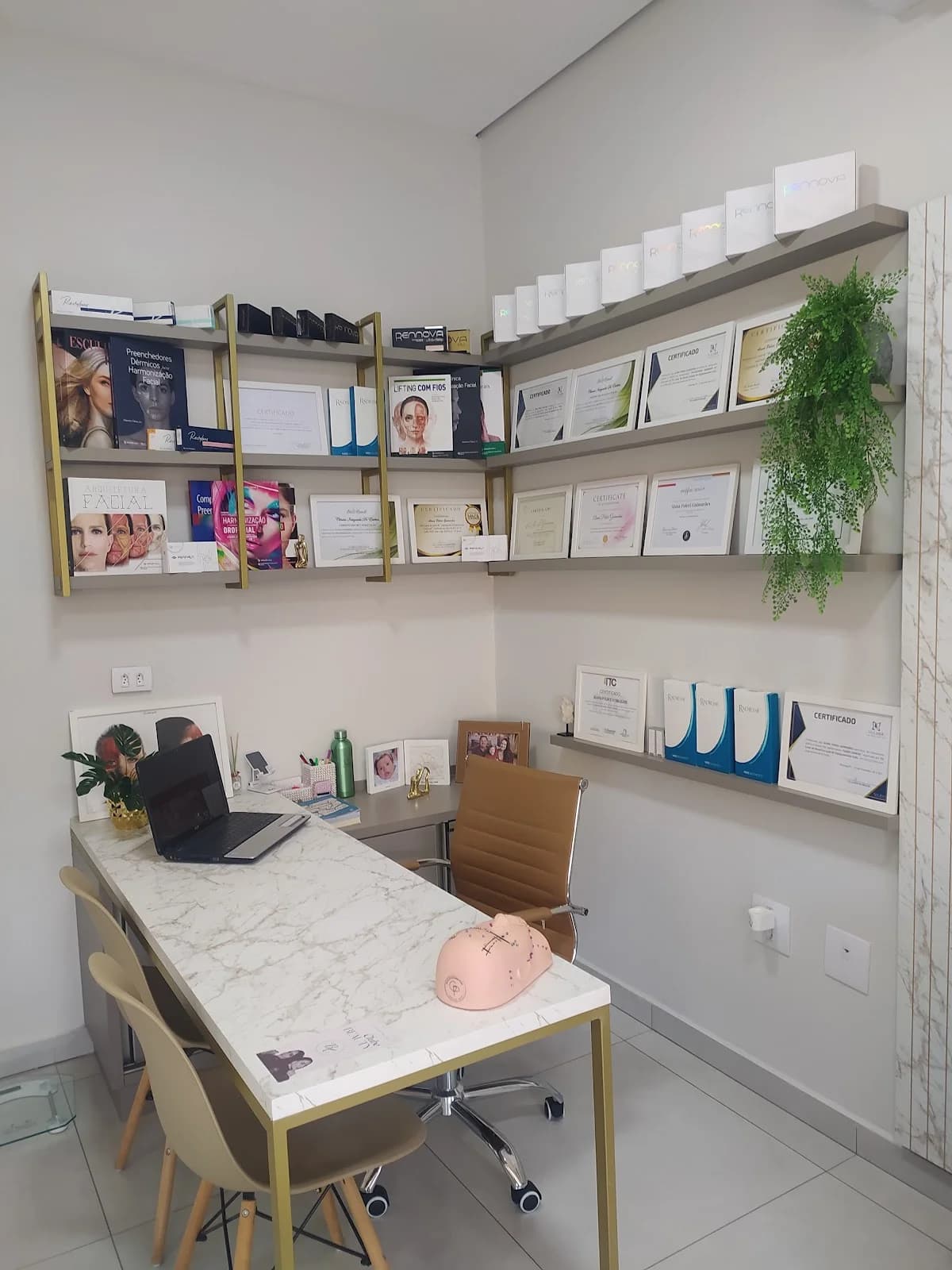 Bless Clinic Biomedicina Avançada – foto 1