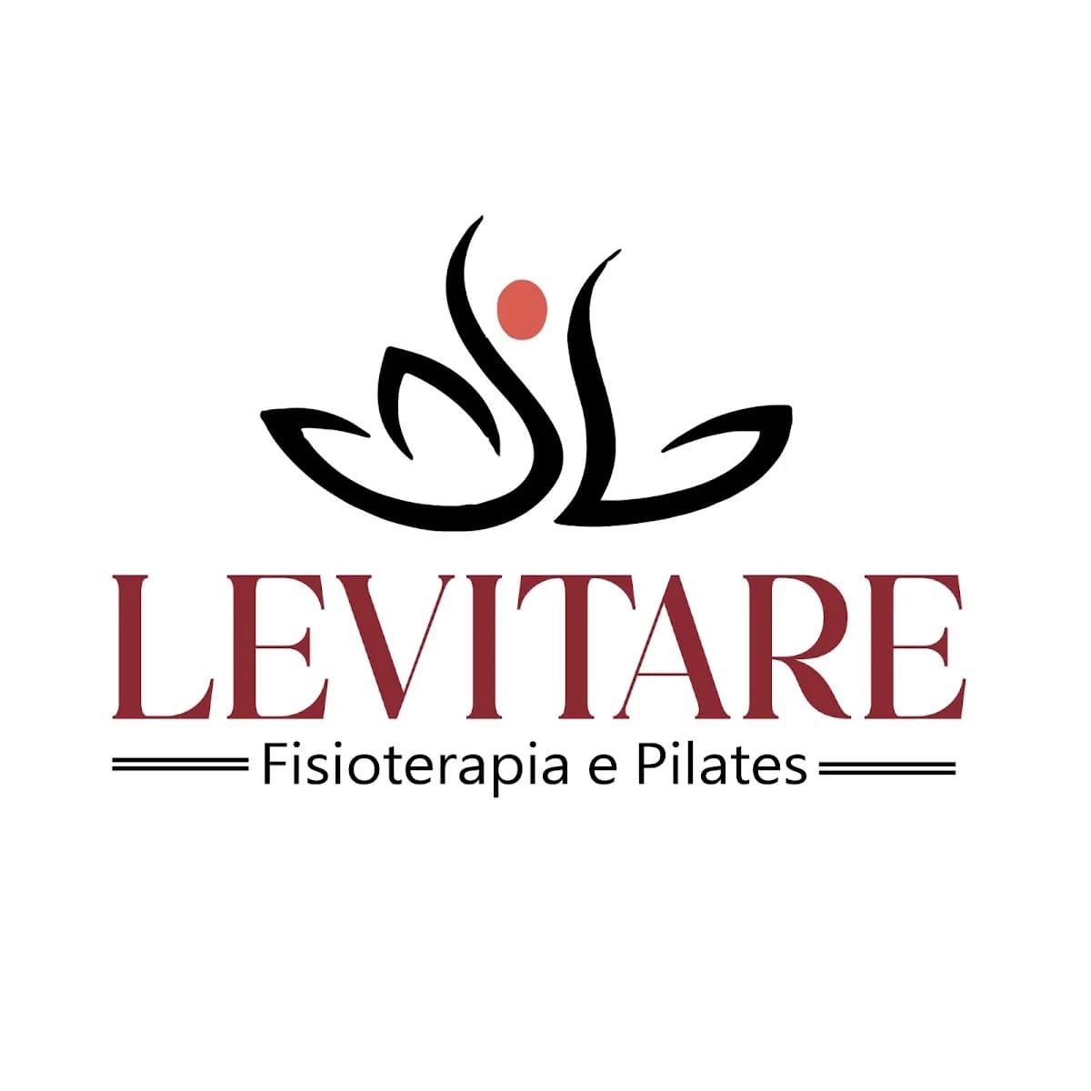 Levitare Fisioterapia e Pilates – foto 1