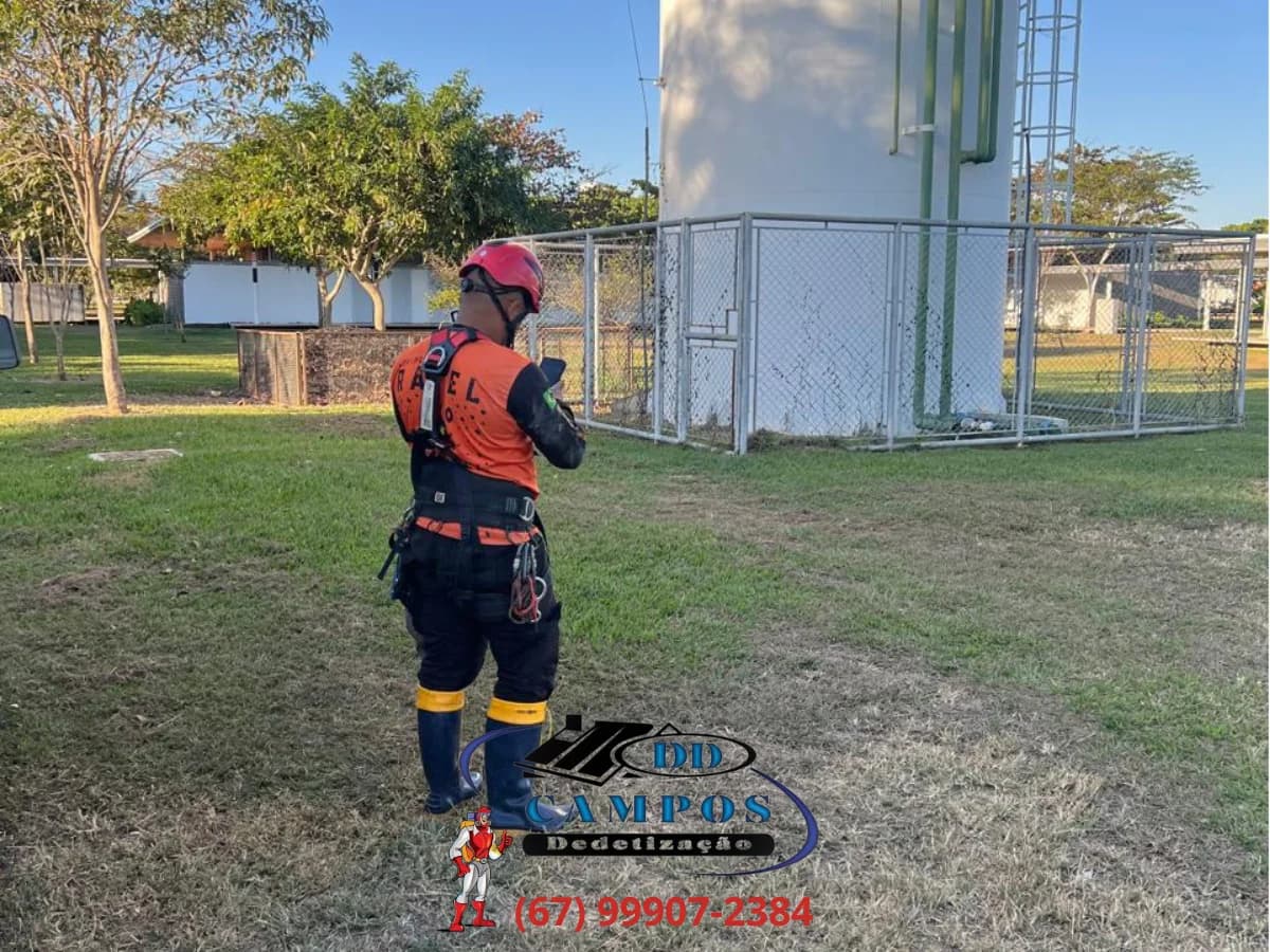🦂 DDCAMPOS Dedetizadora | Dedetização – foto 3