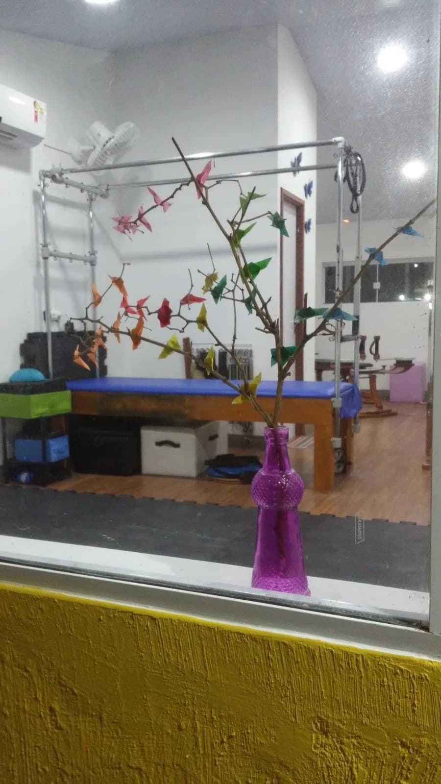 Estúdio Tris - Corpo em Movimento - Pilates Gyrotonic – foto 3