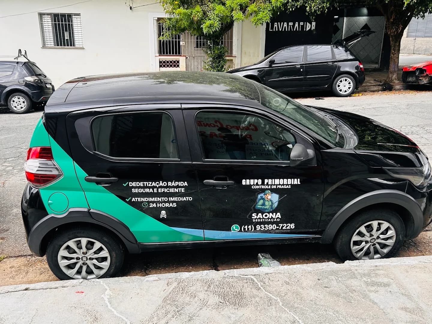 Saona Dedetização – foto 3