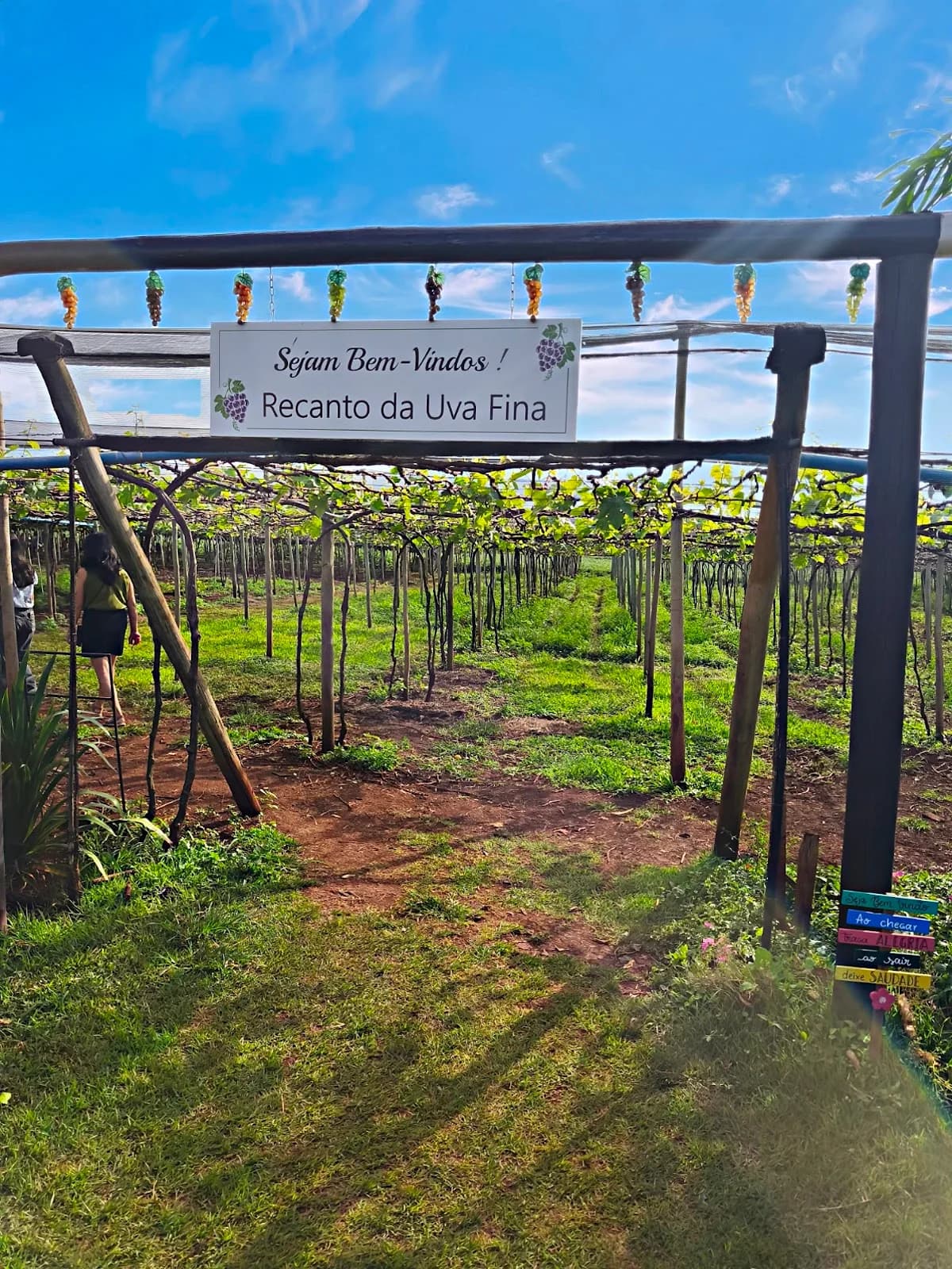 Recanto Da Uva Fina 🍇 – foto 2