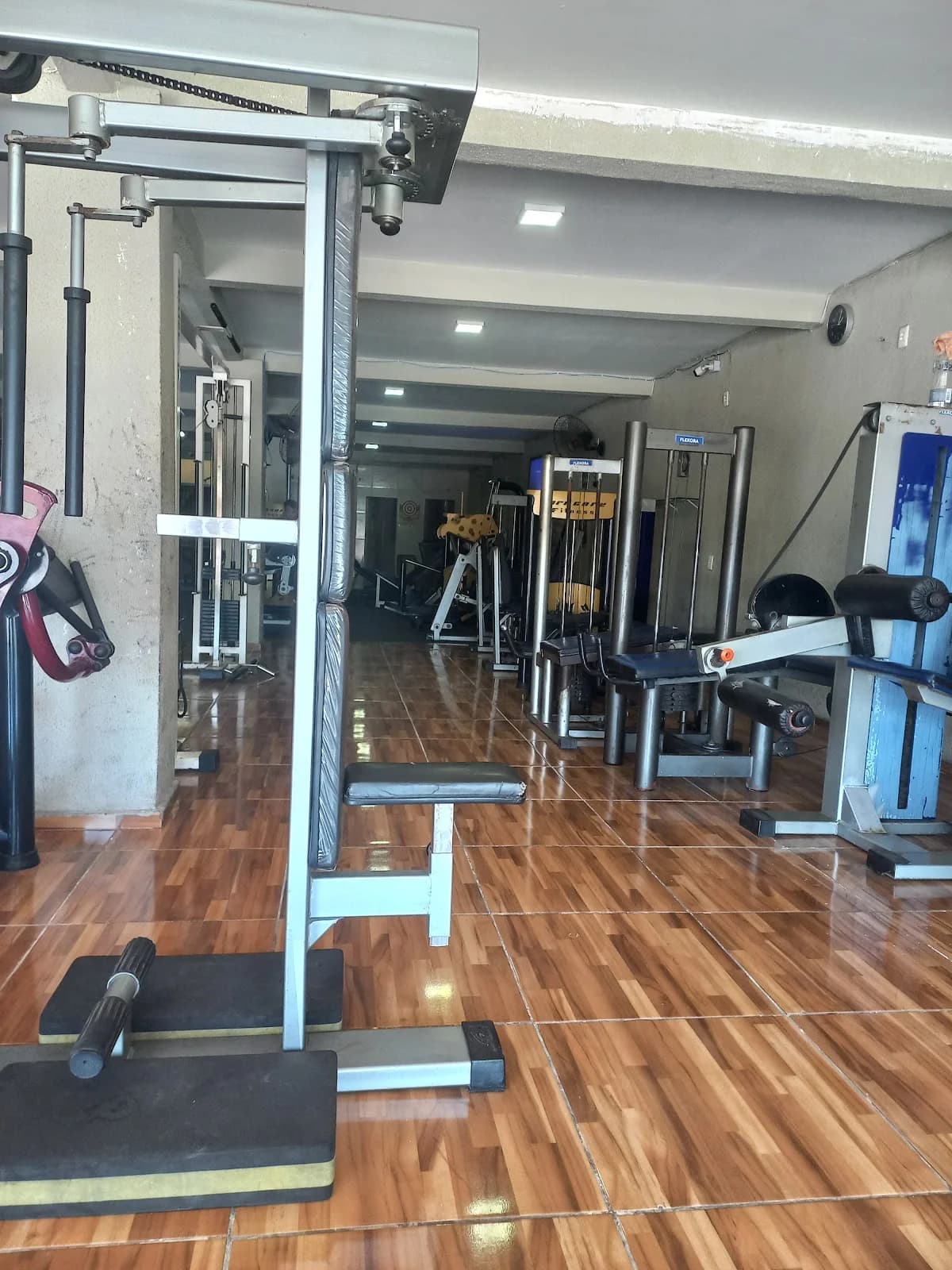 Wilson Filho Academia Parque Brasil – foto 2
