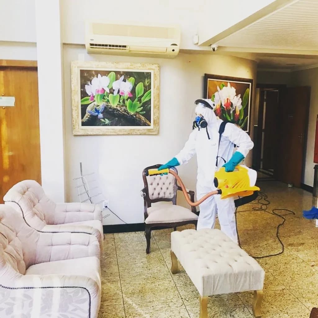 123 DEDETIZADORA – foto 3
