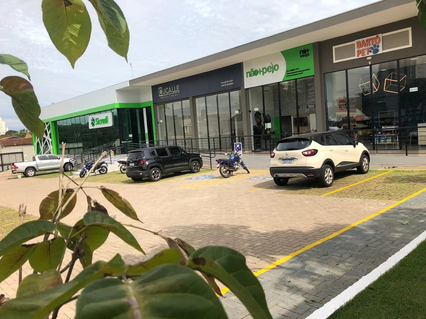 Não Mais Pelo Campo Grande MS – foto 2