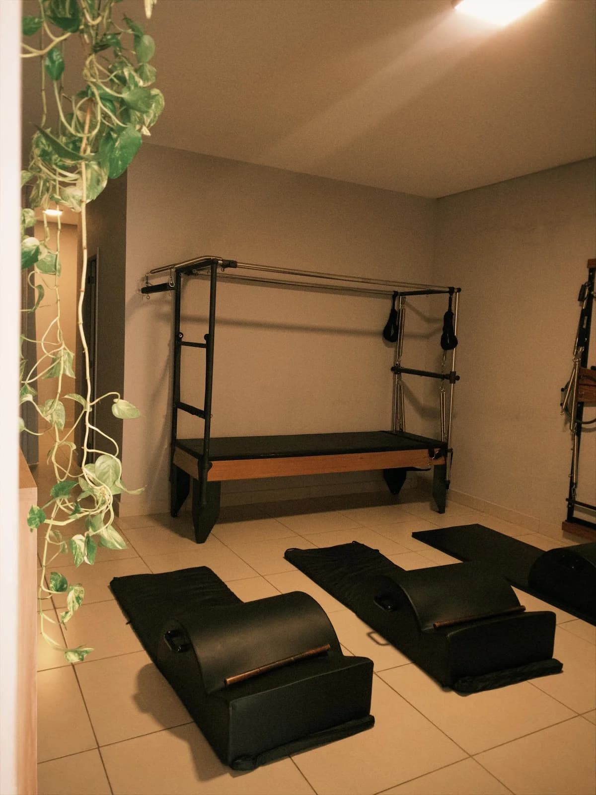 (Pilates/Fisioterapia) MaisAtto Saúde - Moinho dos Ventos – foto 2