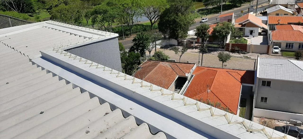 Dedetizadora em Curitiba | Premium Dedetizadora – foto 3