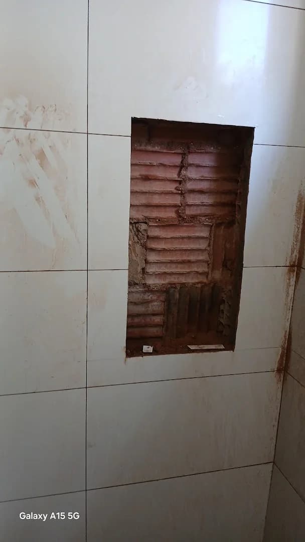 Elias Farias de Freitas - Pedreiro e pintor – foto 3