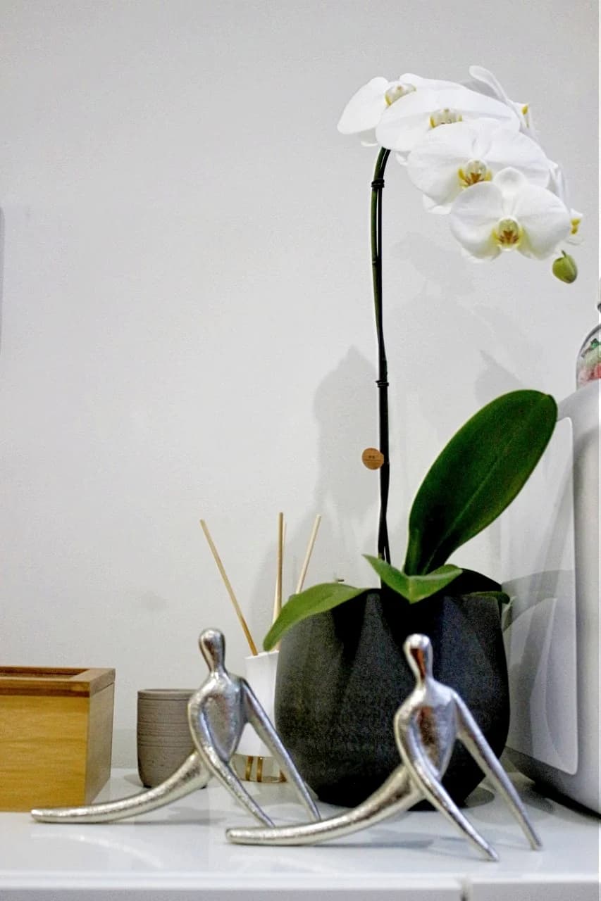 PILATES CAROL GUERRA – foto 3