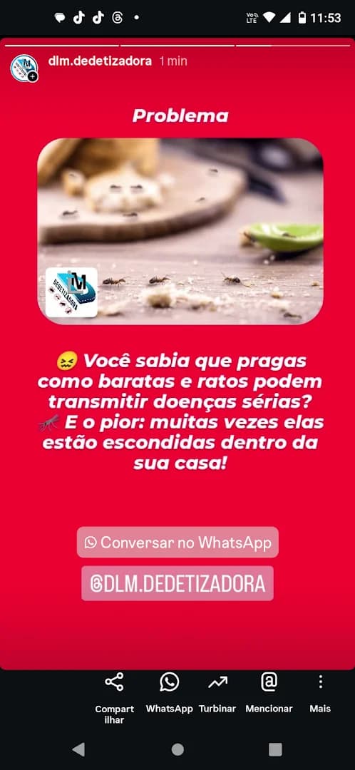 DLM Dedetizadora