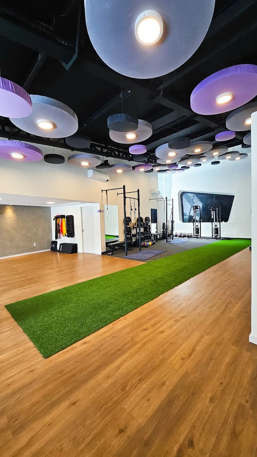 Studio Semper – foto 2