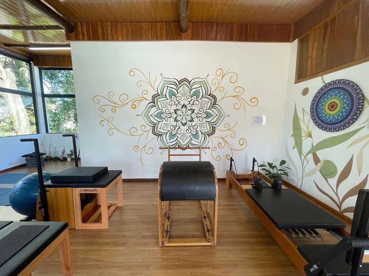 Pilates no Mandaqui ZN - Movimento e Longevidade: a cura pelo movimento – foto 3