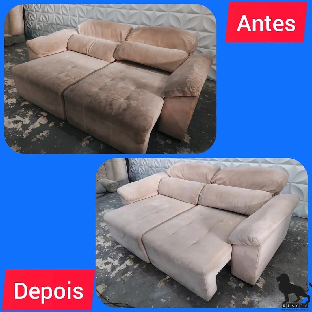DEDETIZADORA KINGS HIGIENIZACAO DE AMBIENTES LTDA – foto 3
