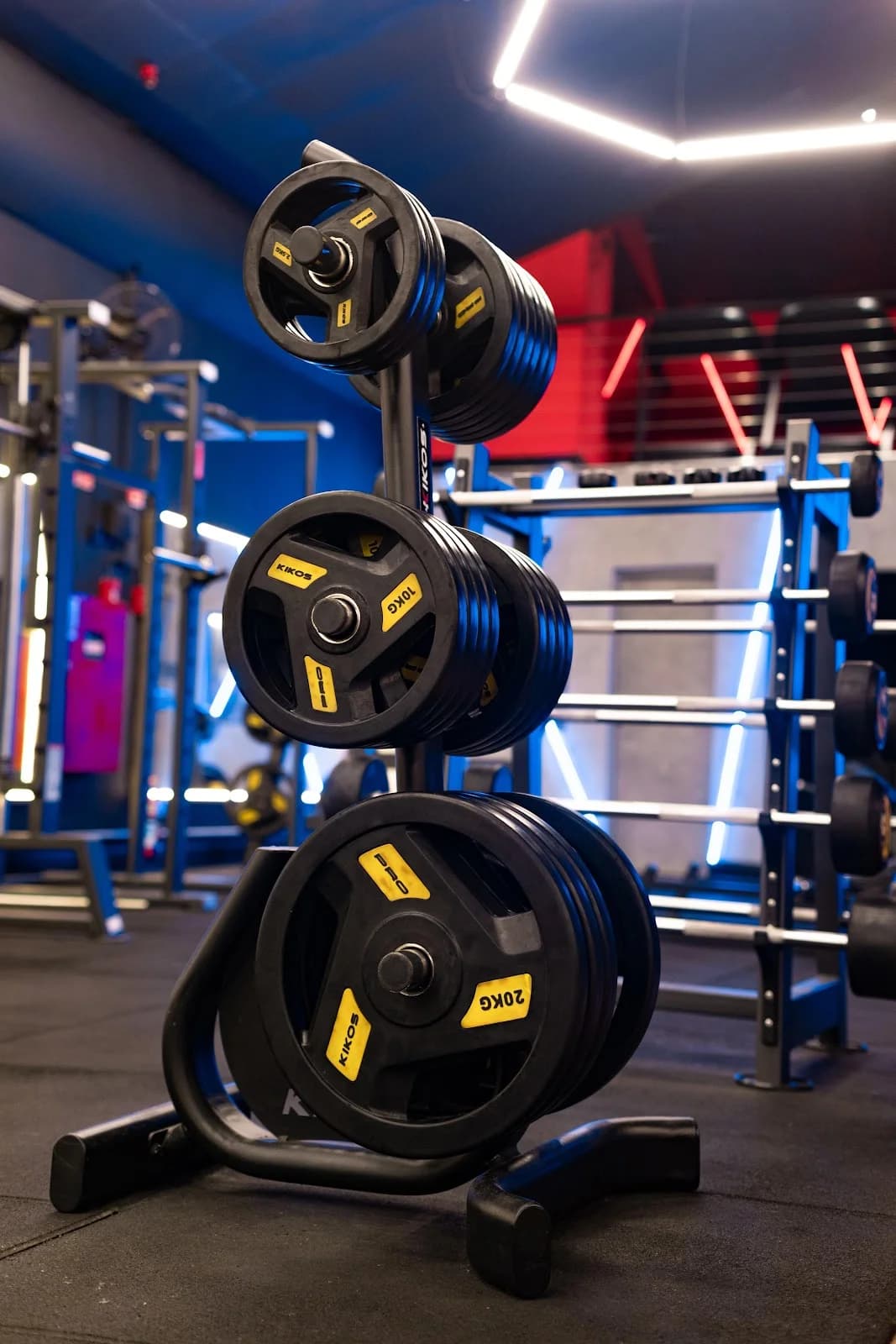 Skyfit - Vila Marieta – foto 3